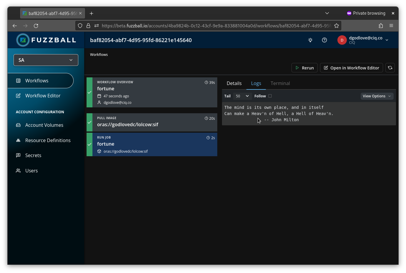 the completed fortune workflow with logs