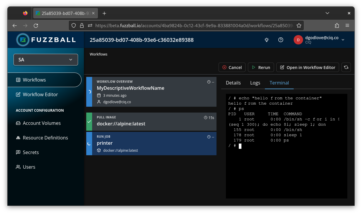 Fuzzball terminal in running job